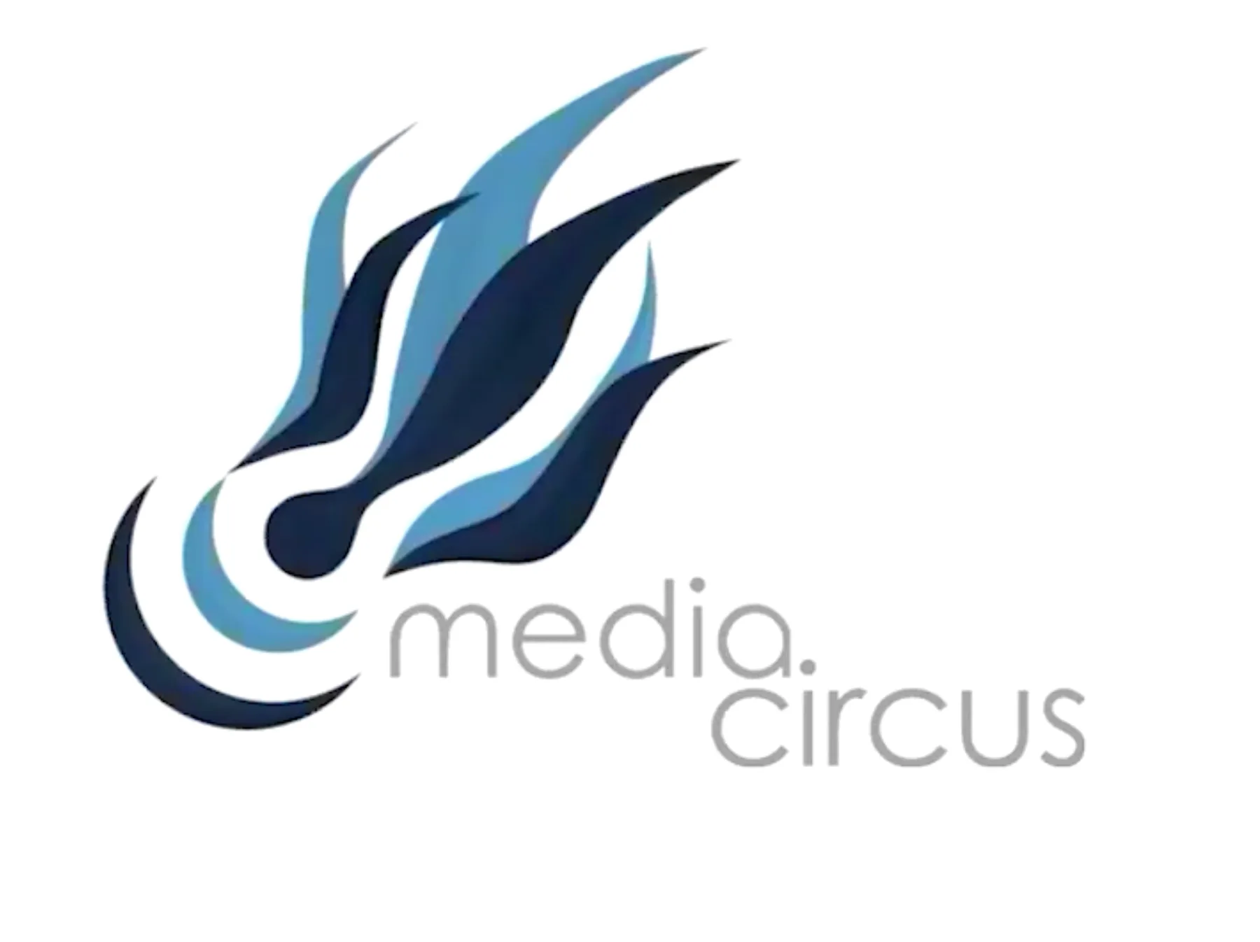 Media Circus